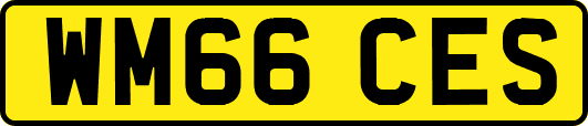 WM66CES