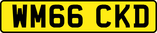 WM66CKD