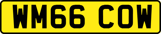 WM66COW