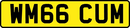 WM66CUM