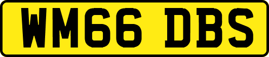 WM66DBS