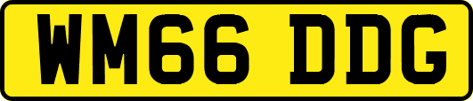 WM66DDG