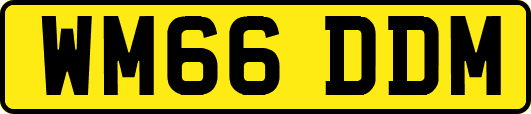 WM66DDM