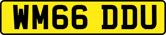WM66DDU