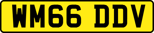 WM66DDV