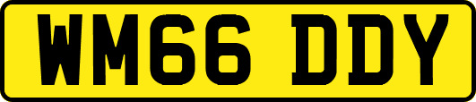 WM66DDY