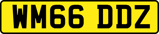 WM66DDZ