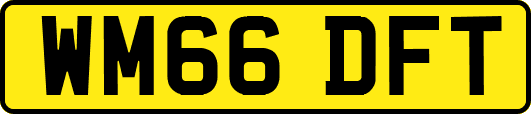 WM66DFT