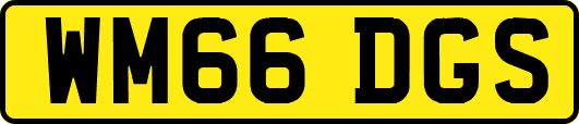 WM66DGS