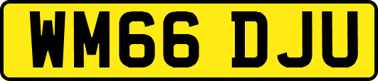 WM66DJU