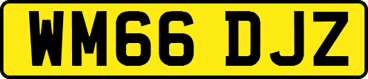 WM66DJZ