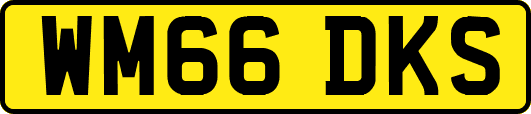 WM66DKS