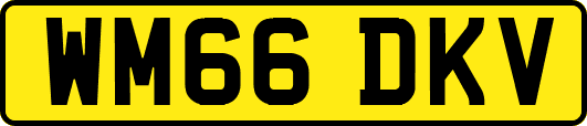WM66DKV
