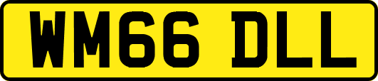 WM66DLL