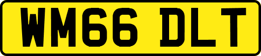 WM66DLT