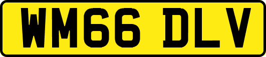 WM66DLV