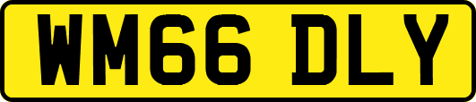 WM66DLY