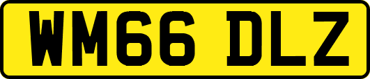 WM66DLZ