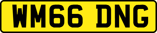 WM66DNG