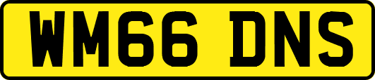 WM66DNS