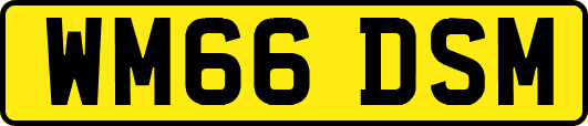 WM66DSM