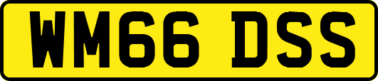 WM66DSS