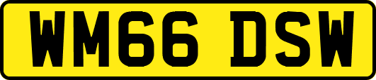 WM66DSW