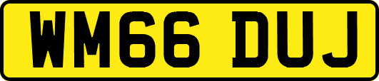 WM66DUJ