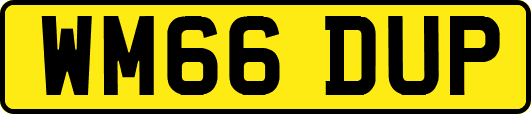 WM66DUP