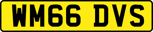 WM66DVS