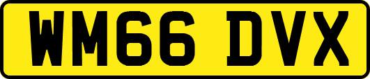 WM66DVX