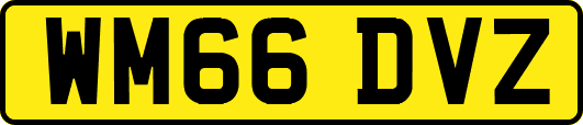 WM66DVZ