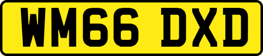 WM66DXD