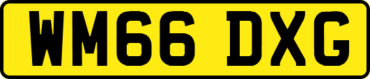 WM66DXG