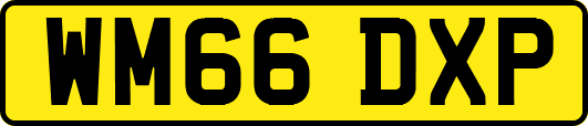 WM66DXP