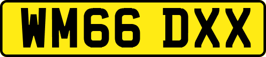 WM66DXX