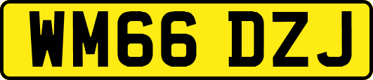 WM66DZJ