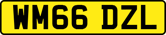 WM66DZL