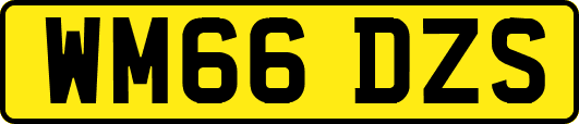 WM66DZS