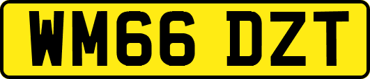 WM66DZT