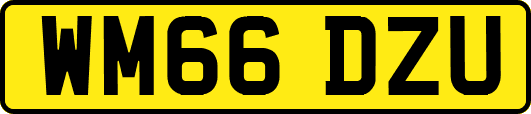 WM66DZU