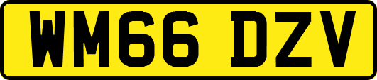 WM66DZV