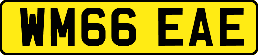 WM66EAE
