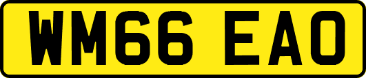 WM66EAO