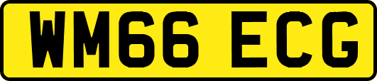 WM66ECG