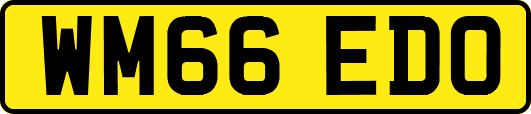 WM66EDO