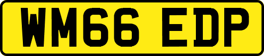 WM66EDP