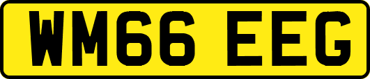 WM66EEG