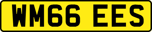 WM66EES