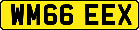 WM66EEX